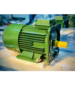 Электродвигатель тип 4А112МА16/8 ТУ16-510.613-76